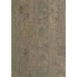 Jonestown 5 in. W Albany Engineered Birch Hardwood Flooring (29.53 sq. ft./case) by Shaw
