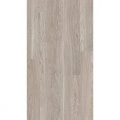 Hamilton 7 in. W Boulder Adhesive Luxury Vinyl Plank Flooring (34.98 sq. ft./case) by Shaw -Shaw stor online boulder shaw vinyl plank flooring hd80300520 1f 1000