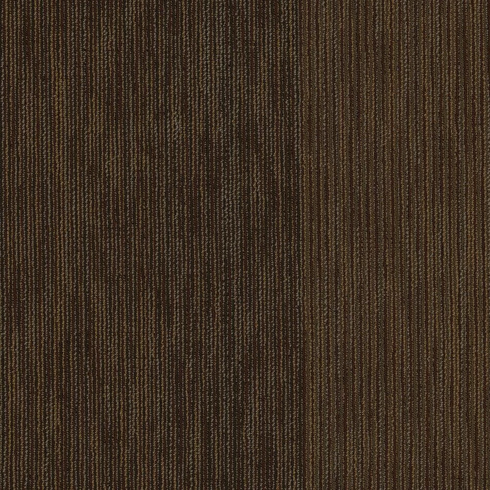 Fellowship Brown Commercial 24 in. x 24 Glue-Down Carpet Tile (20 Tiles/Case) 80 sq. ft. by Shaw 1 Fellowship Brown Commercial 24 in. x 24 Glue-Down Carpet Tile (20 Tiles/Case) 80 sq. ft. by Shaw