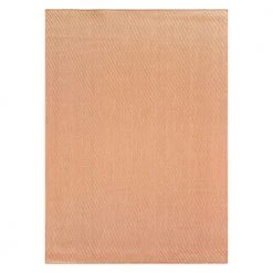 Rust 5 ft. x 7 ft. Solid Flatweave Indoor/Outdoor Area Rug by World Rug Gallery